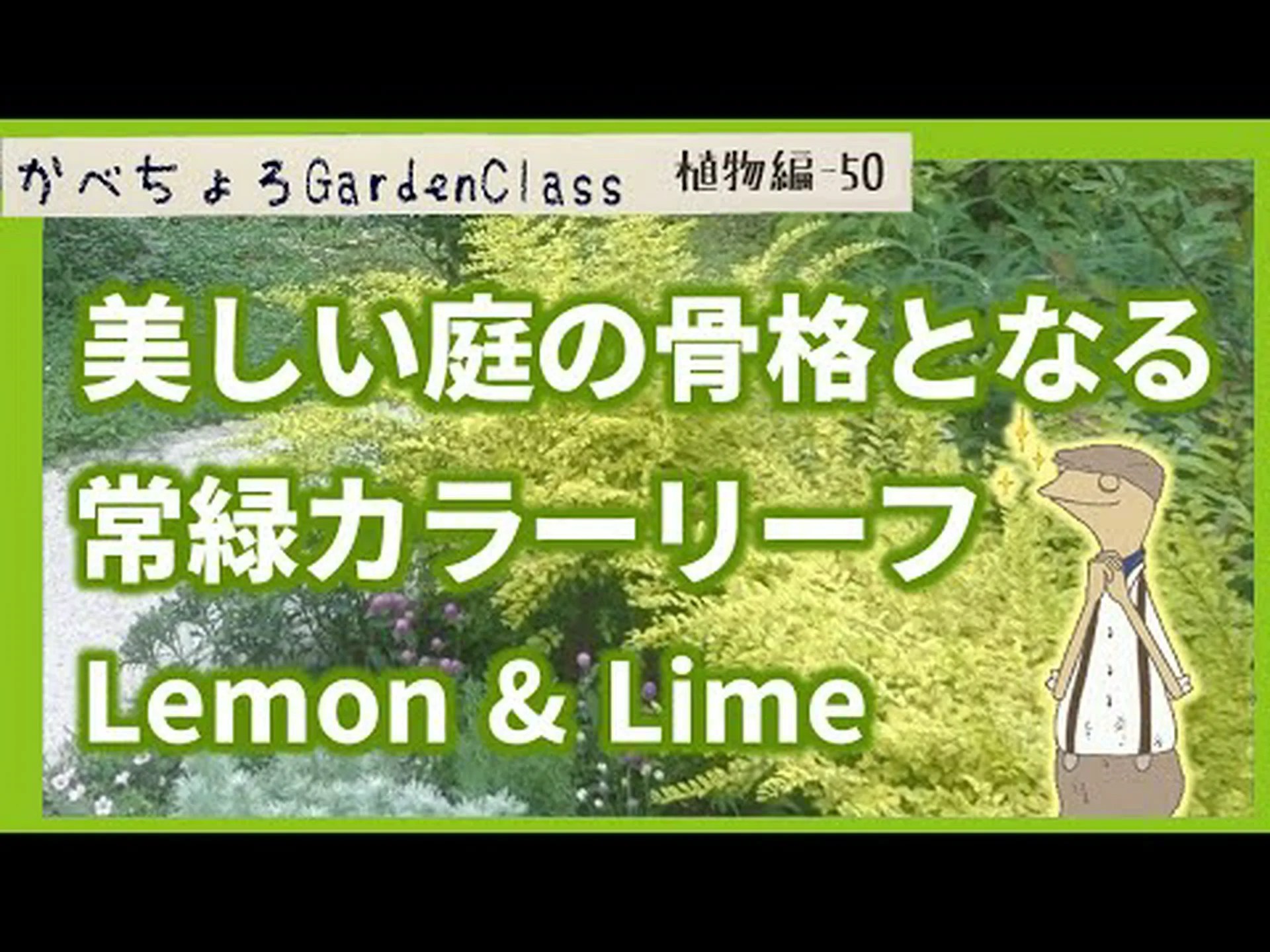 ライム、リモネット、レモンベルガモット、スイートライム、スイートレモンツリー、ローマ産スイートライム ライム、リモネット、レモンベルガモット、スイートライム、スイートレモンツリー、ローマ産スイートライム