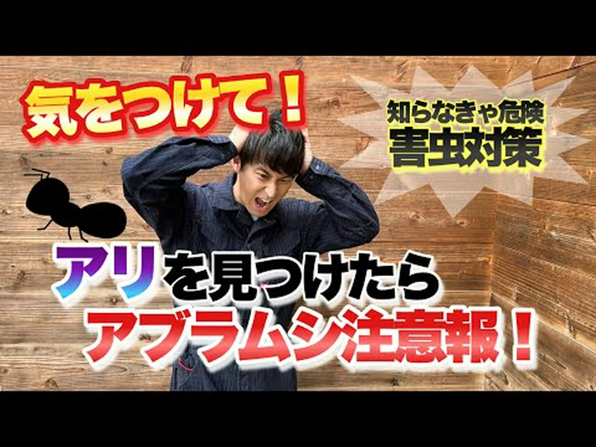 アリ、コナカイガラムシ、アブラムシ、てんとう虫 アリ、コナカイガラムシ、アブラムシ、てんとう虫