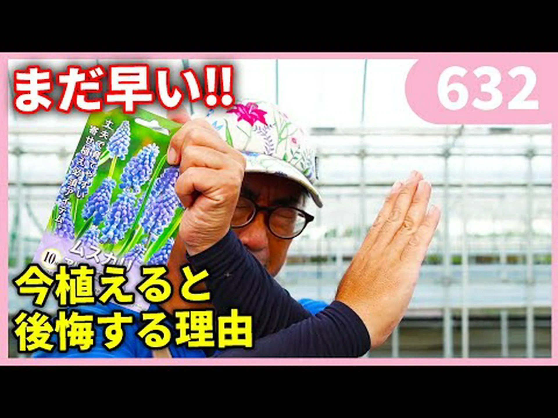 ムスカリ、赤ネギ、ニンニク、ヘアリーグレープヒヤシンス ムスカリ、赤ネギ、ニンニク、ヘアリーグレープヒヤシンス