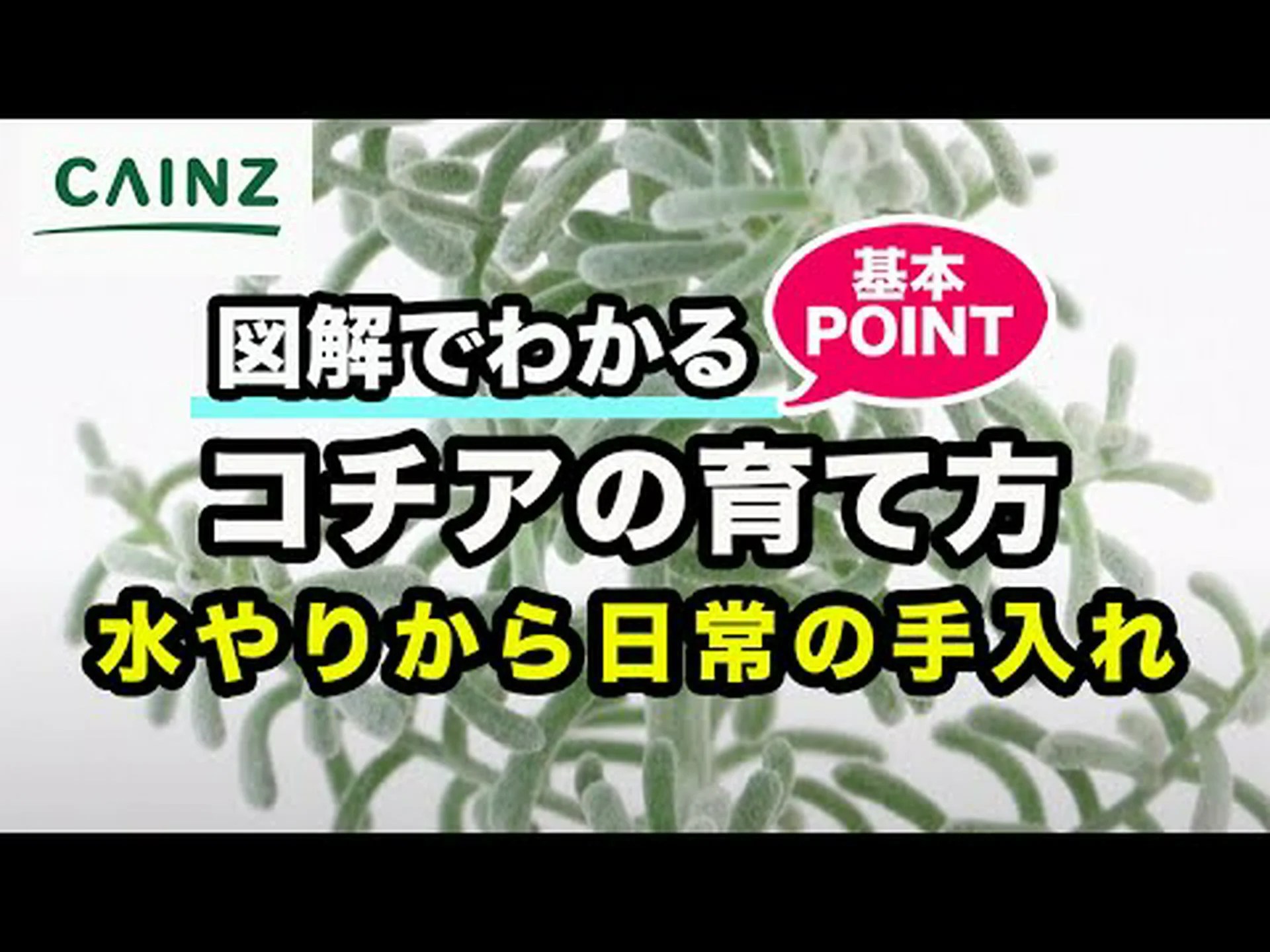 植物図鑑 植物図鑑