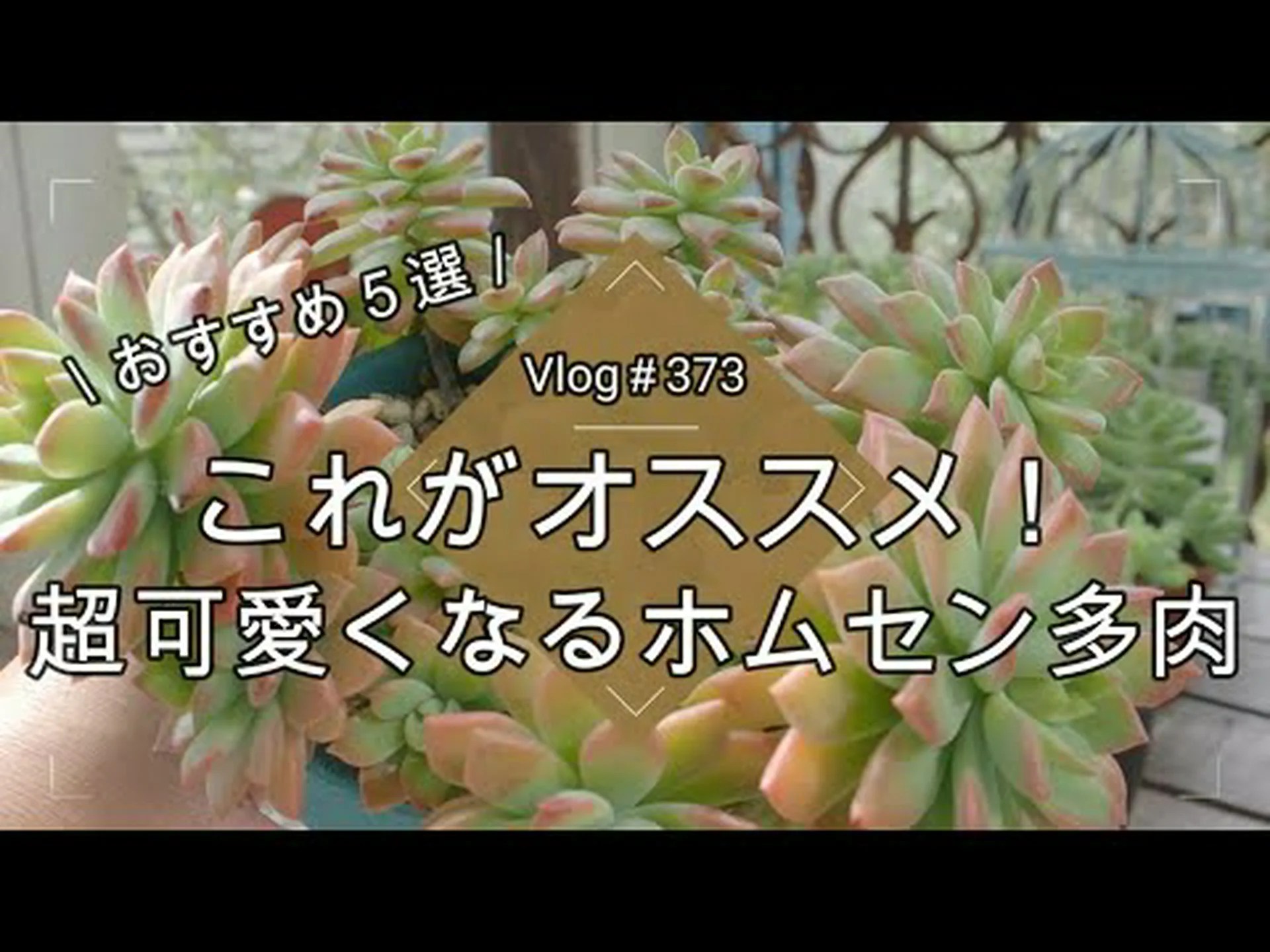 ソロモンの印章 ソロモンの印章