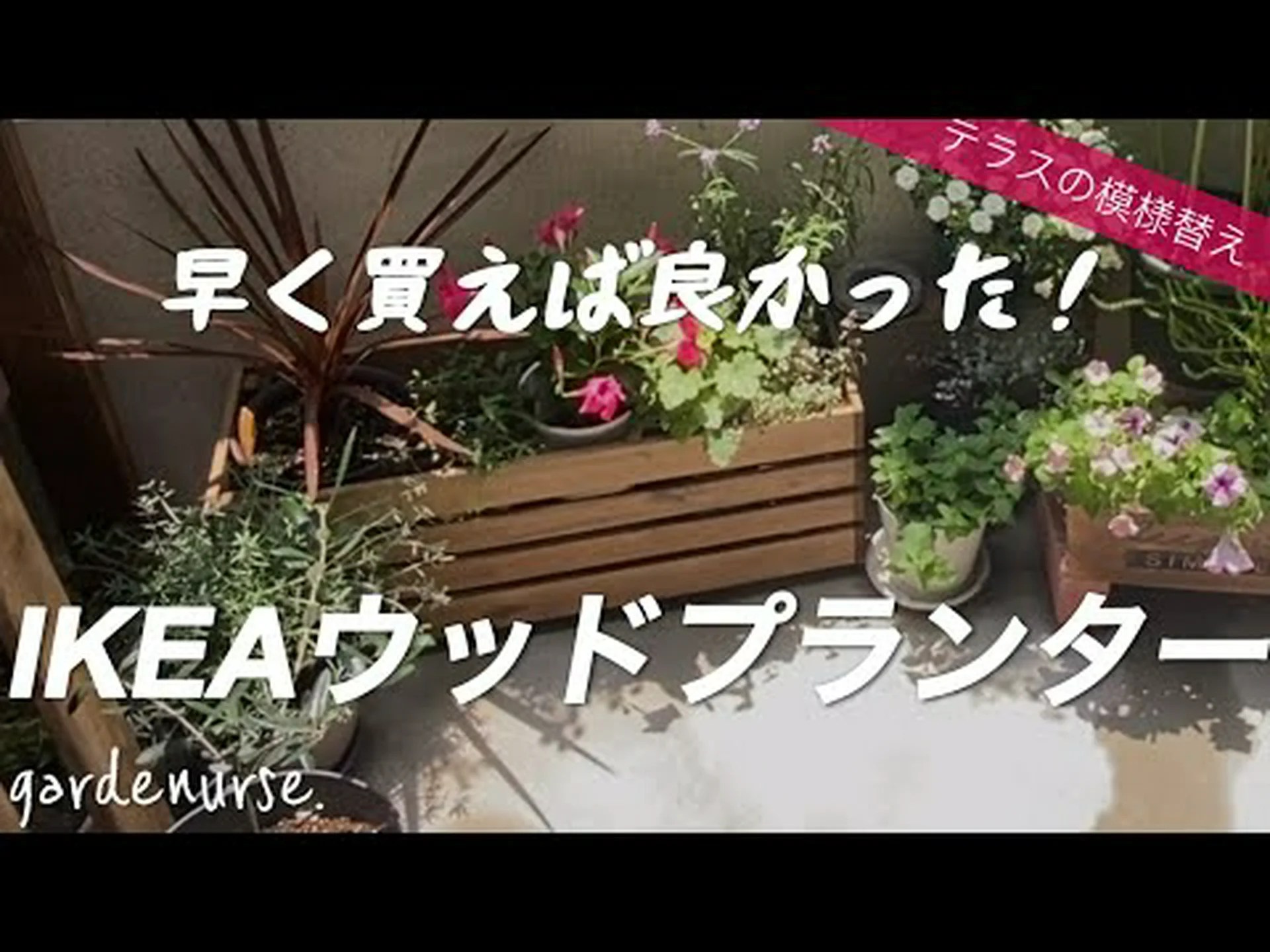 普通の庭用プランター 普通の庭用プランター