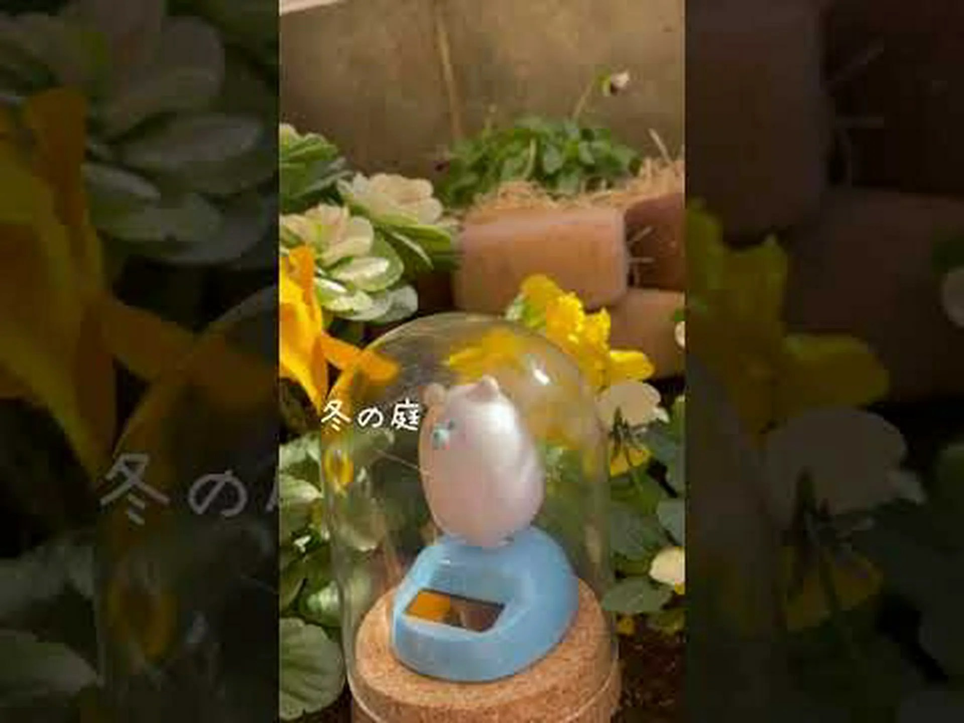 冬の間ずっと花畑 冬の間ずっと花畑