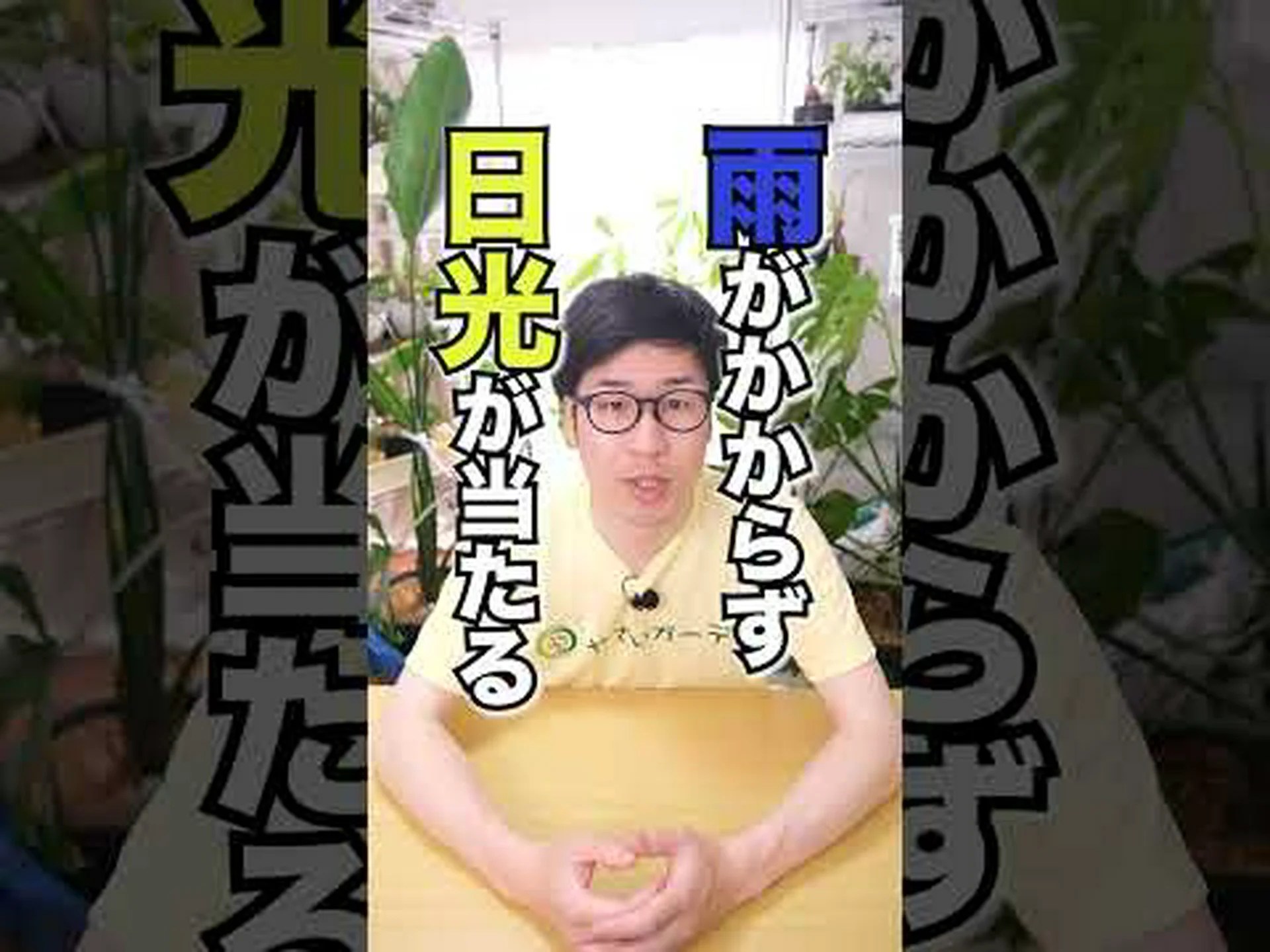 トマトプリン トマトプリン