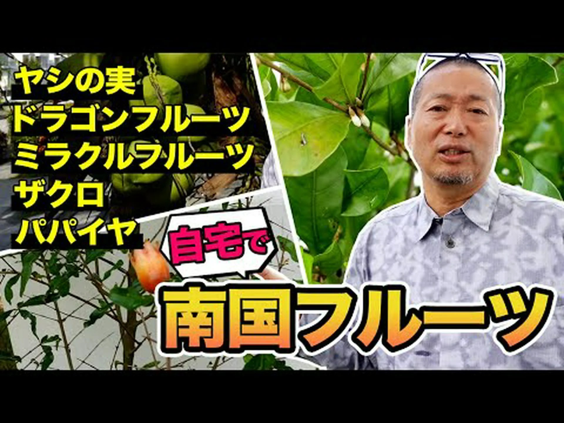 果樹園の植物 果樹園の植物