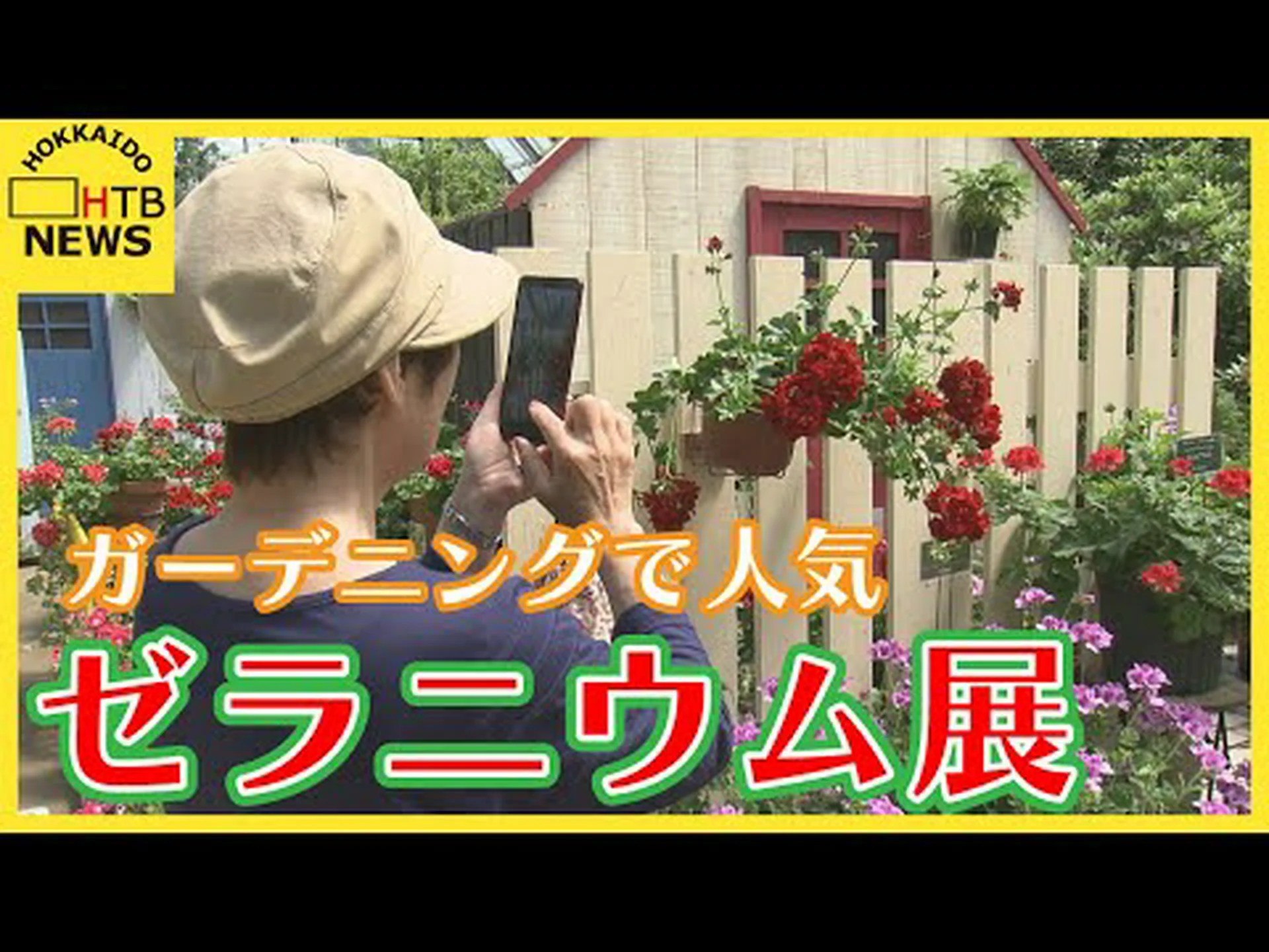 シミシフガ シミシフガ