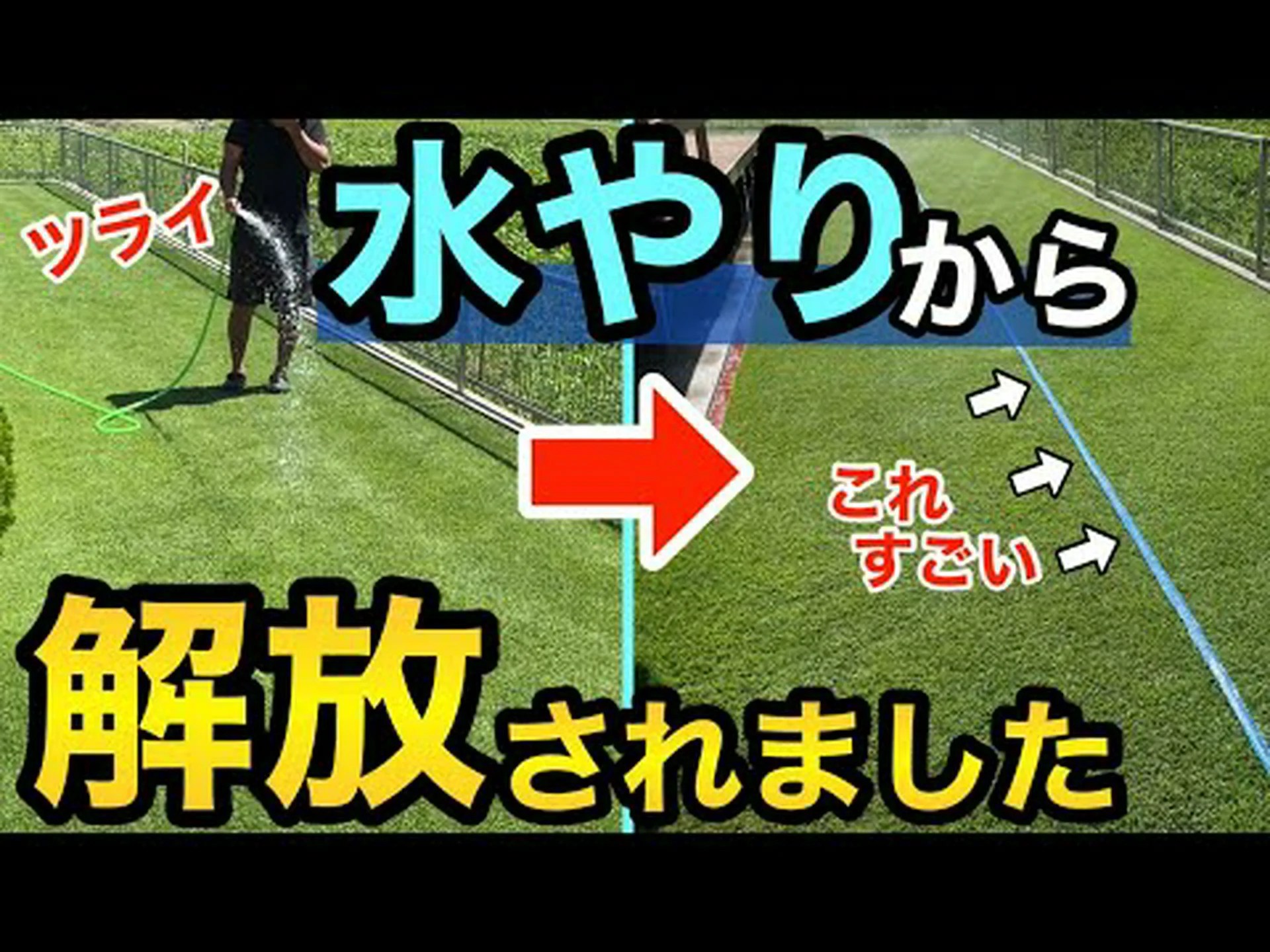 芝生の水やり 芝生の水やり