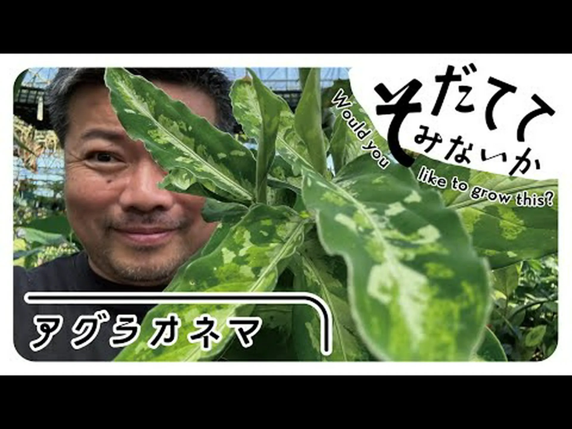 干ばつと戦うための 10 のヒント 干ばつと戦うための 10 のヒント