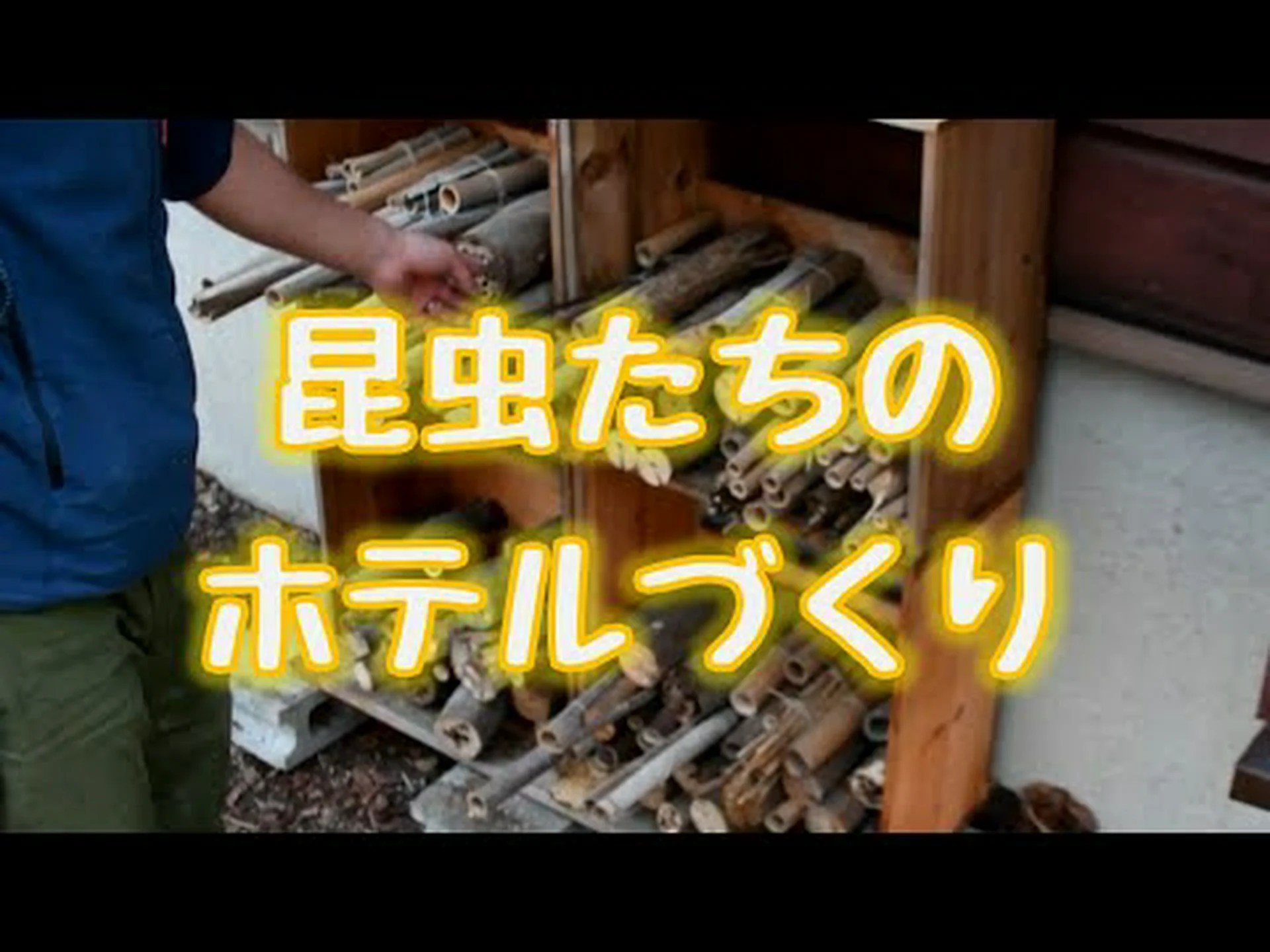 インセクトホテル インセクトホテル