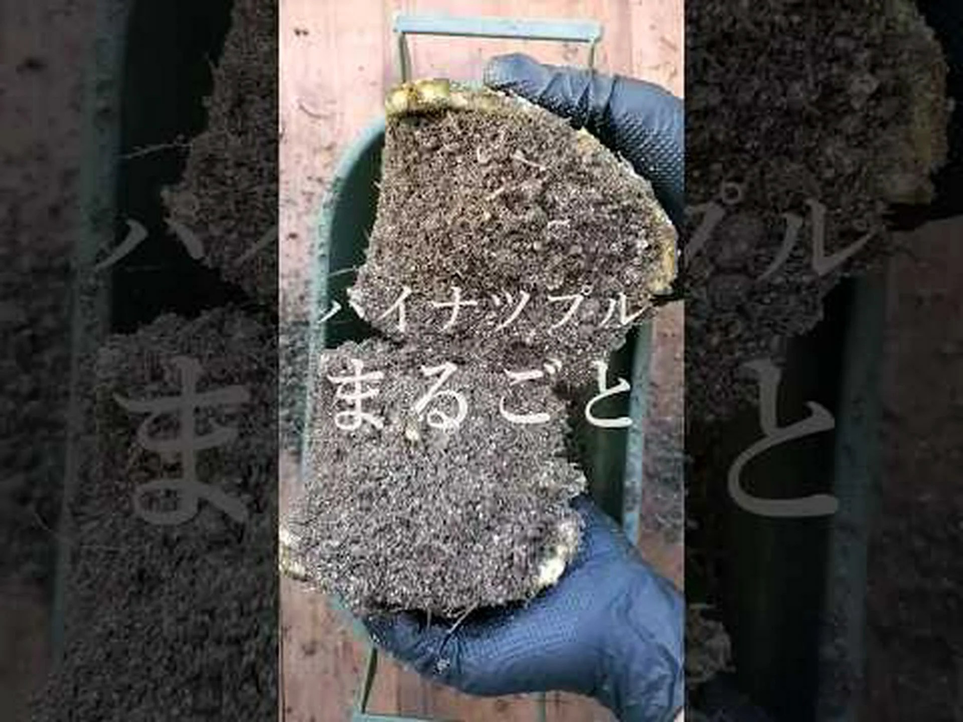 集団堆肥化 集団堆肥化