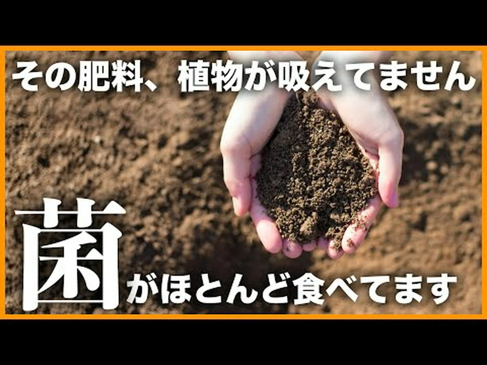 土壌生物学 土壌生物学