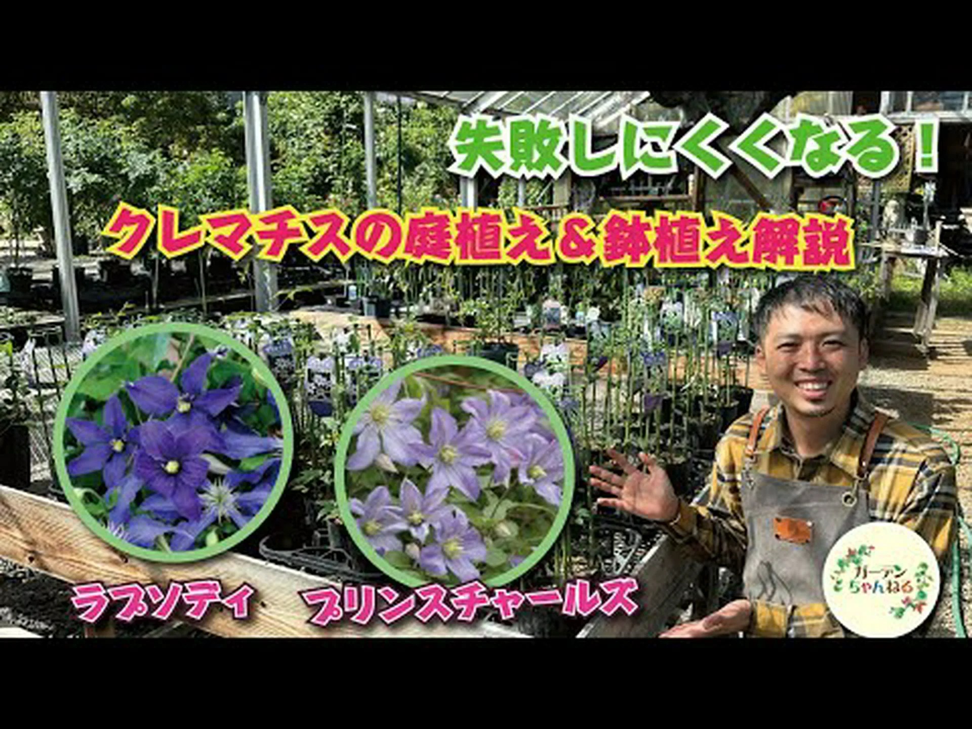 クレマチスの植え方は? クレマチスの植え方は?