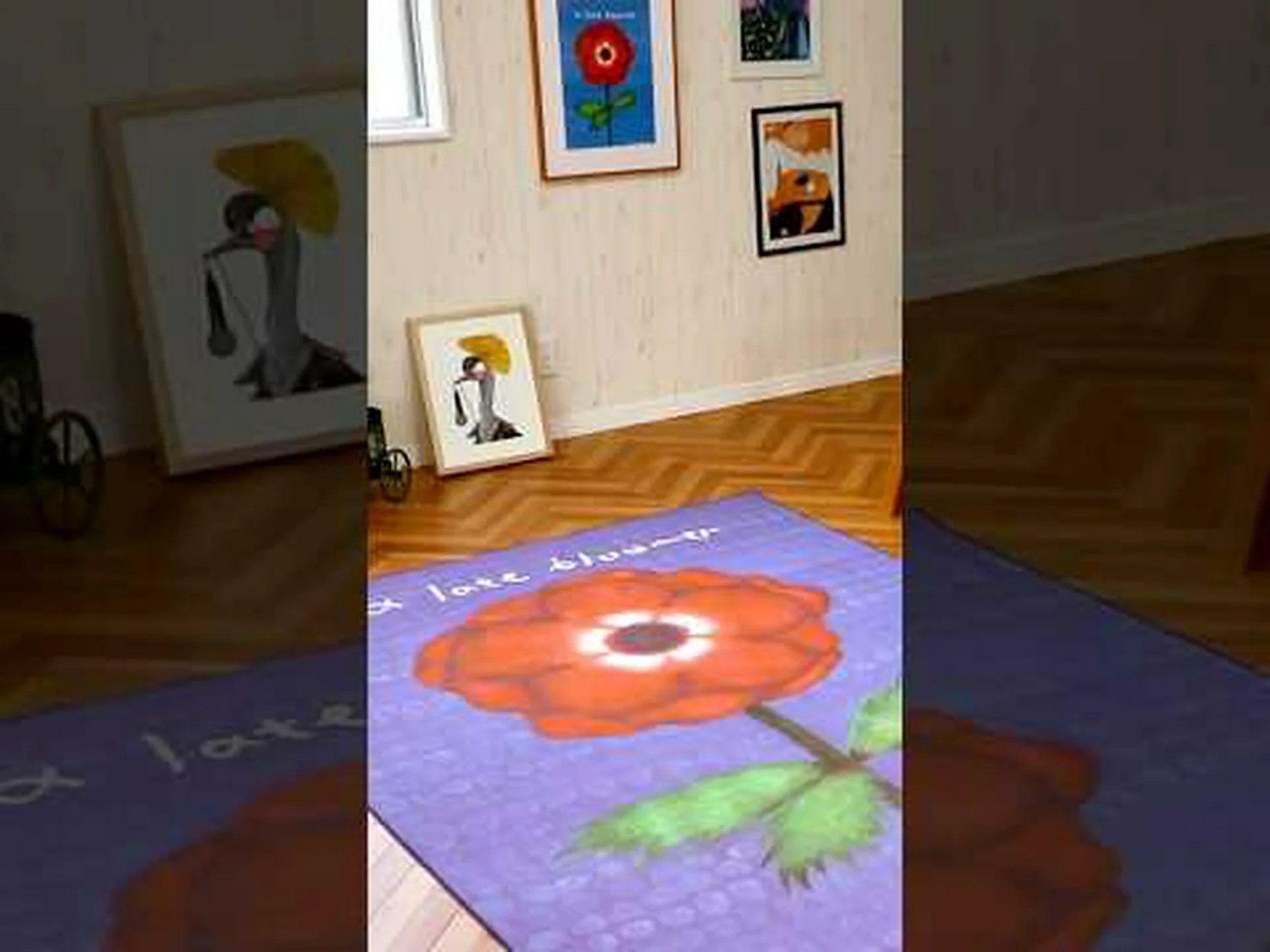 アブロメイティエラのカーペット アブロメイティエラのカーペット