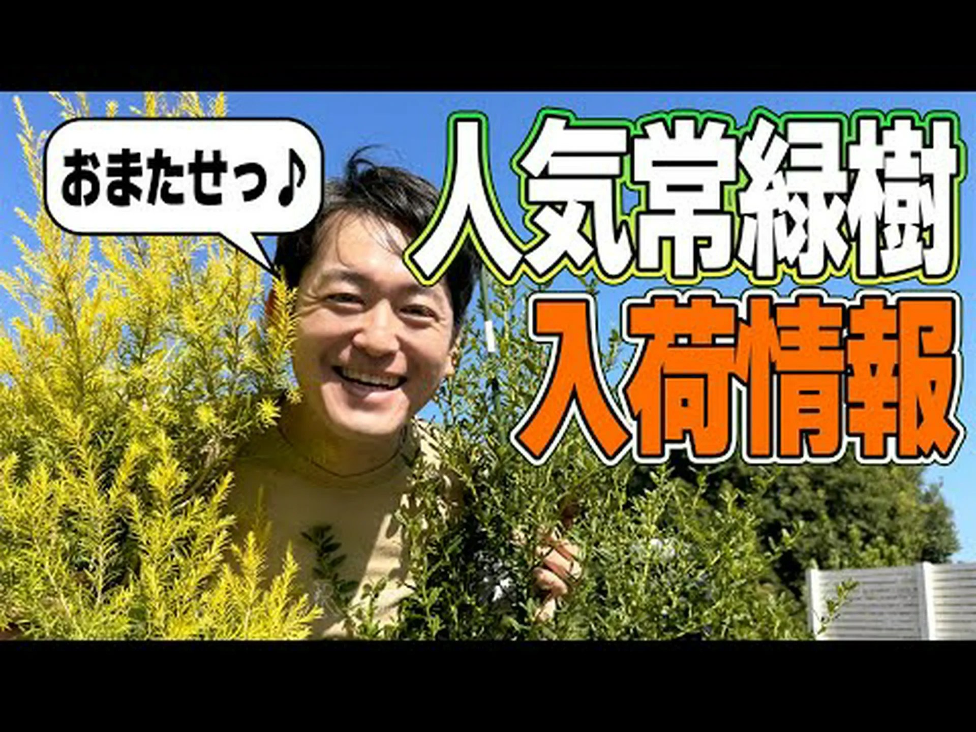 注目の木 注目の木