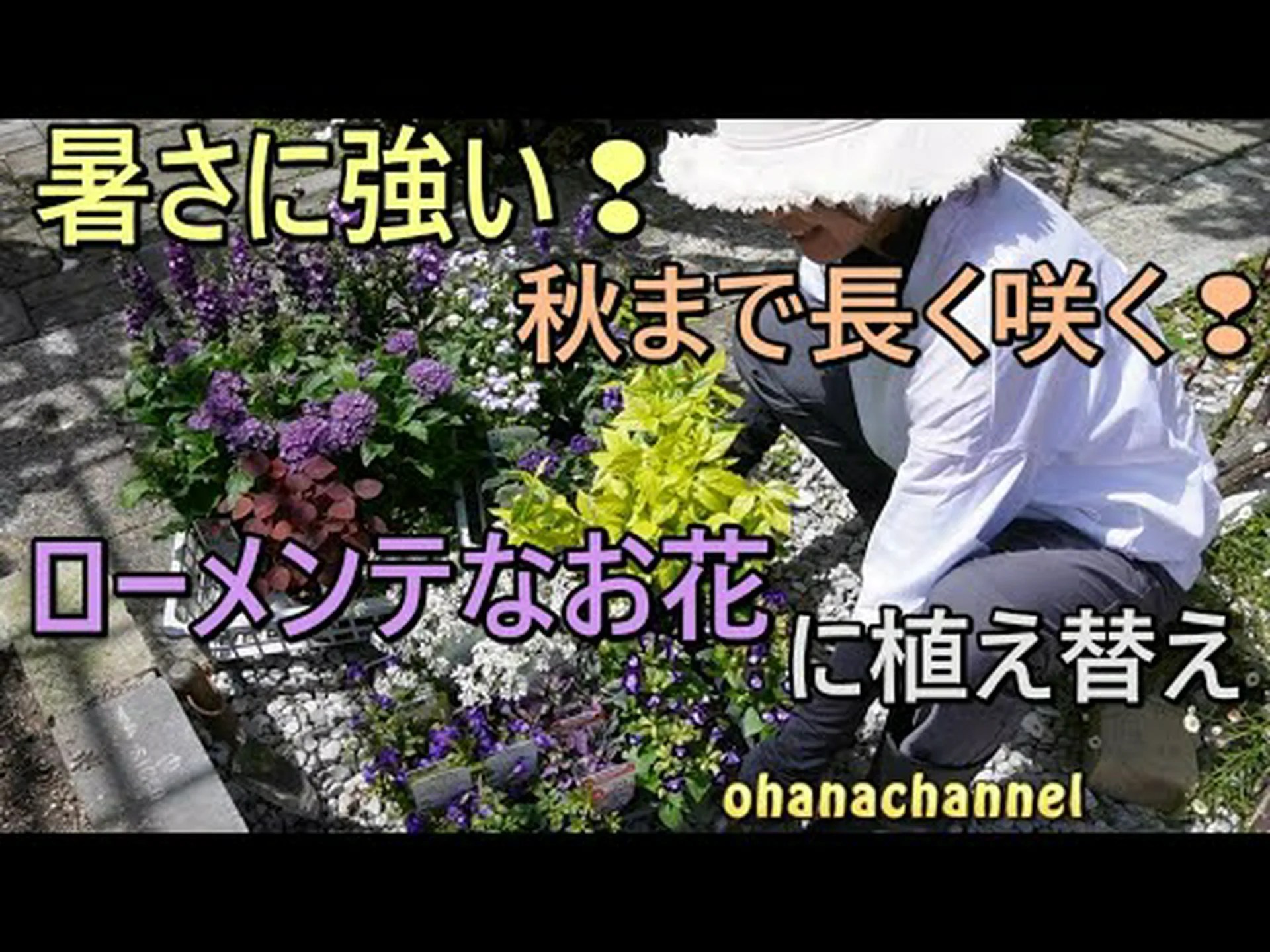 開花を長くする 開花を長くする