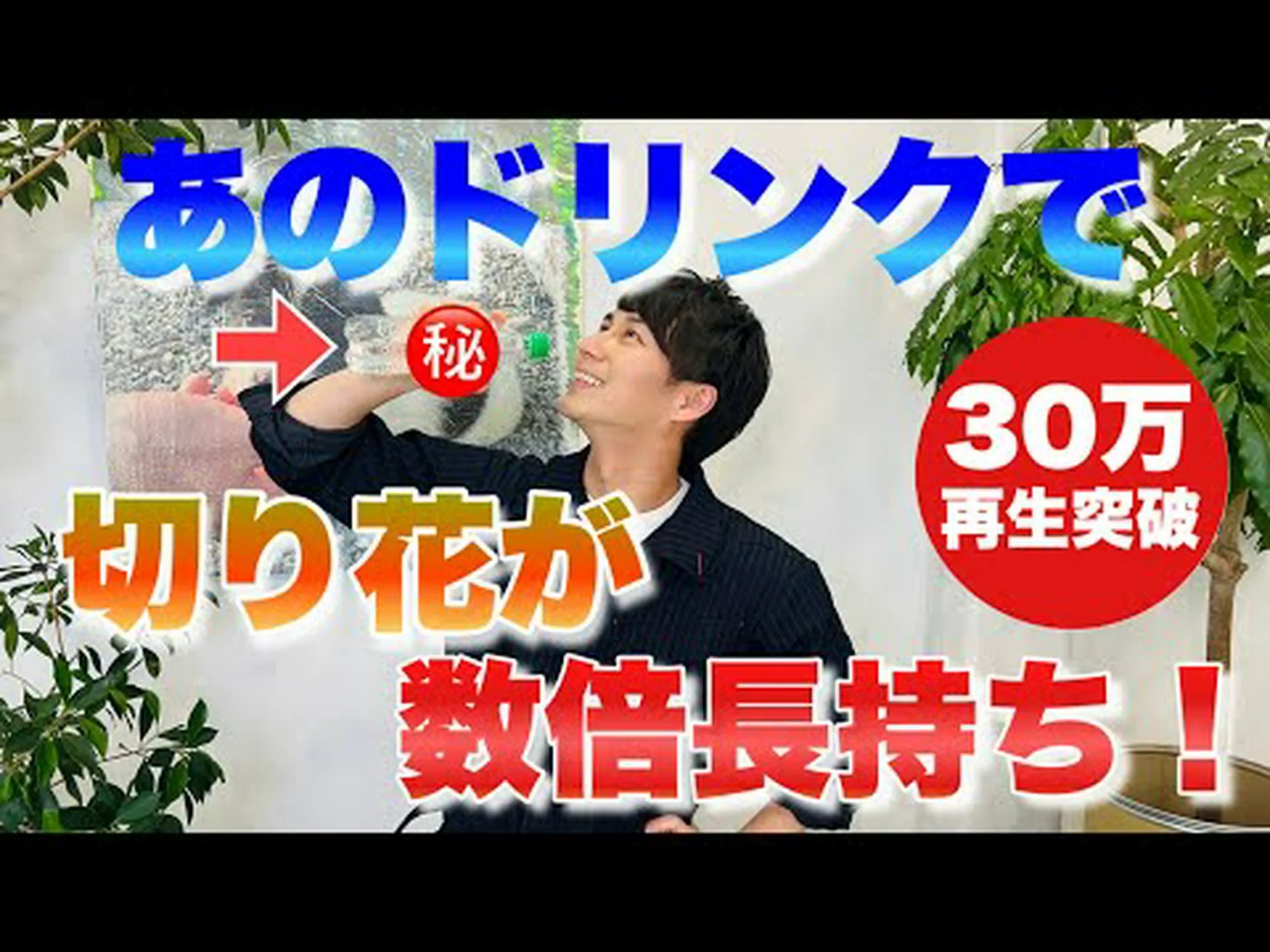 切り花の保存 切り花の保存