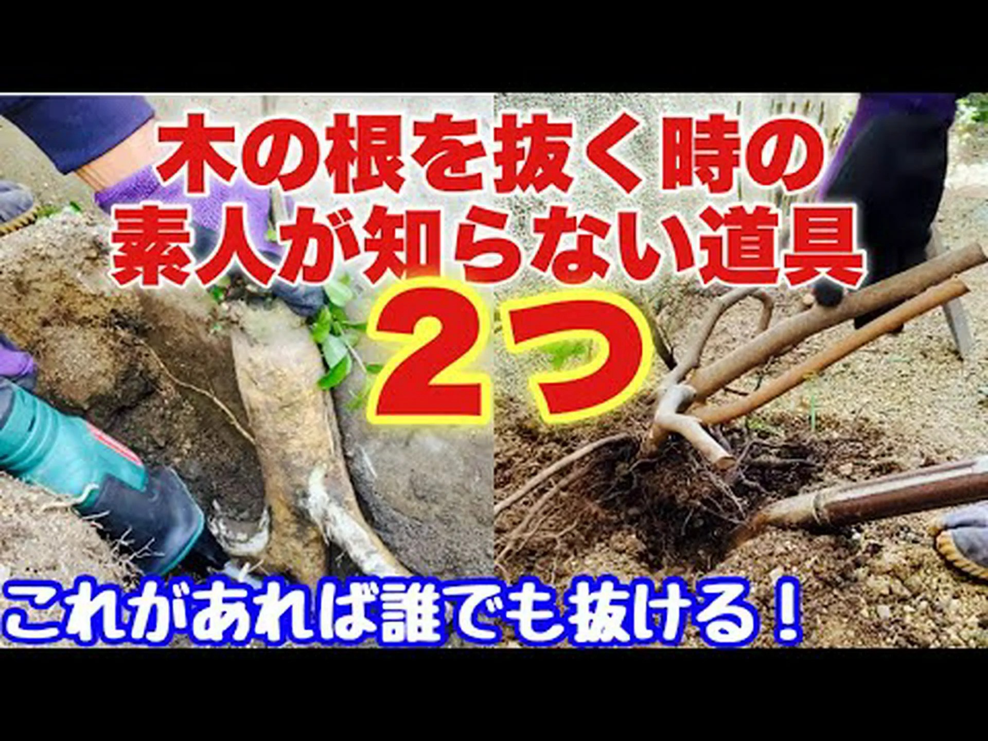 プーラーを使って木や切り株を引き抜くにはどうすればよいですか? プーラーを使って木や切り株を引き抜くにはどうすればよいですか?