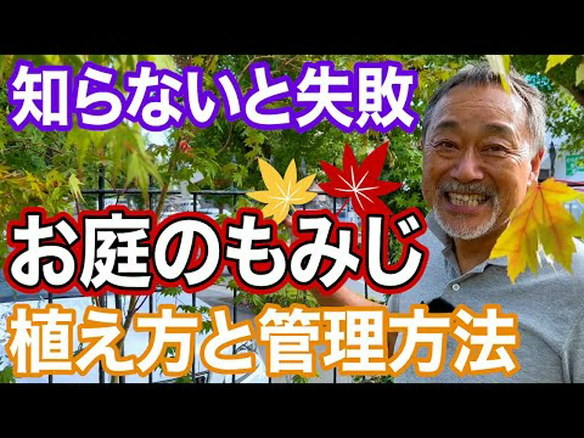 イロハモミジの植え替え イロハモミジの植え替え