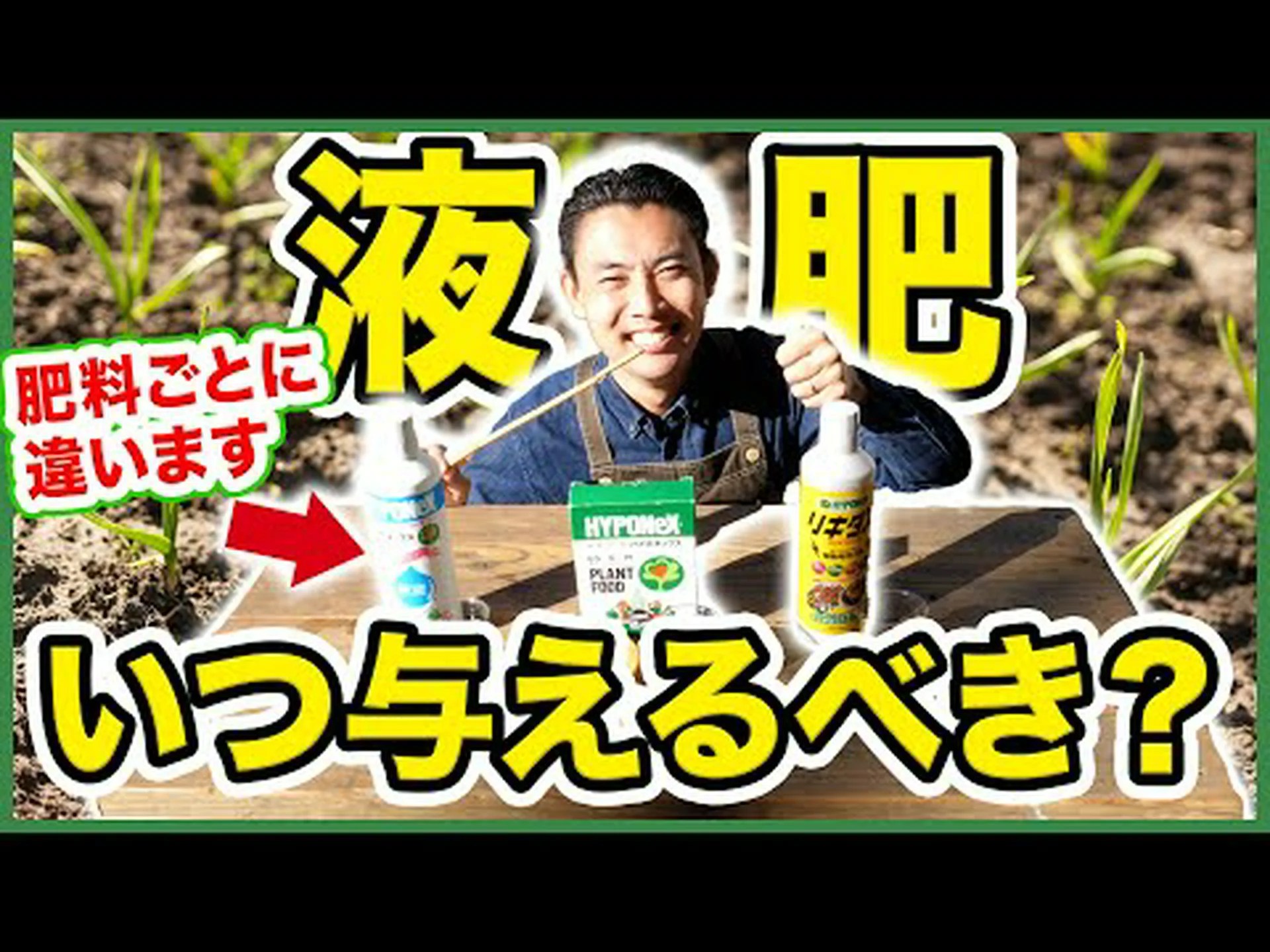 園芸植物にいつ肥料を与えるのですか? 園芸植物にいつ肥料を与えるのですか?