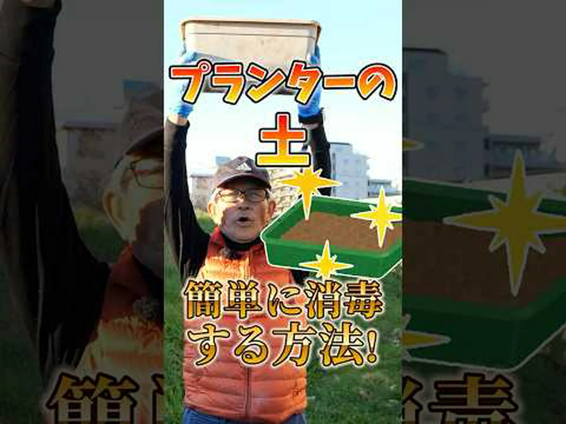 土壌に適応した野菜 土壌に適応した野菜