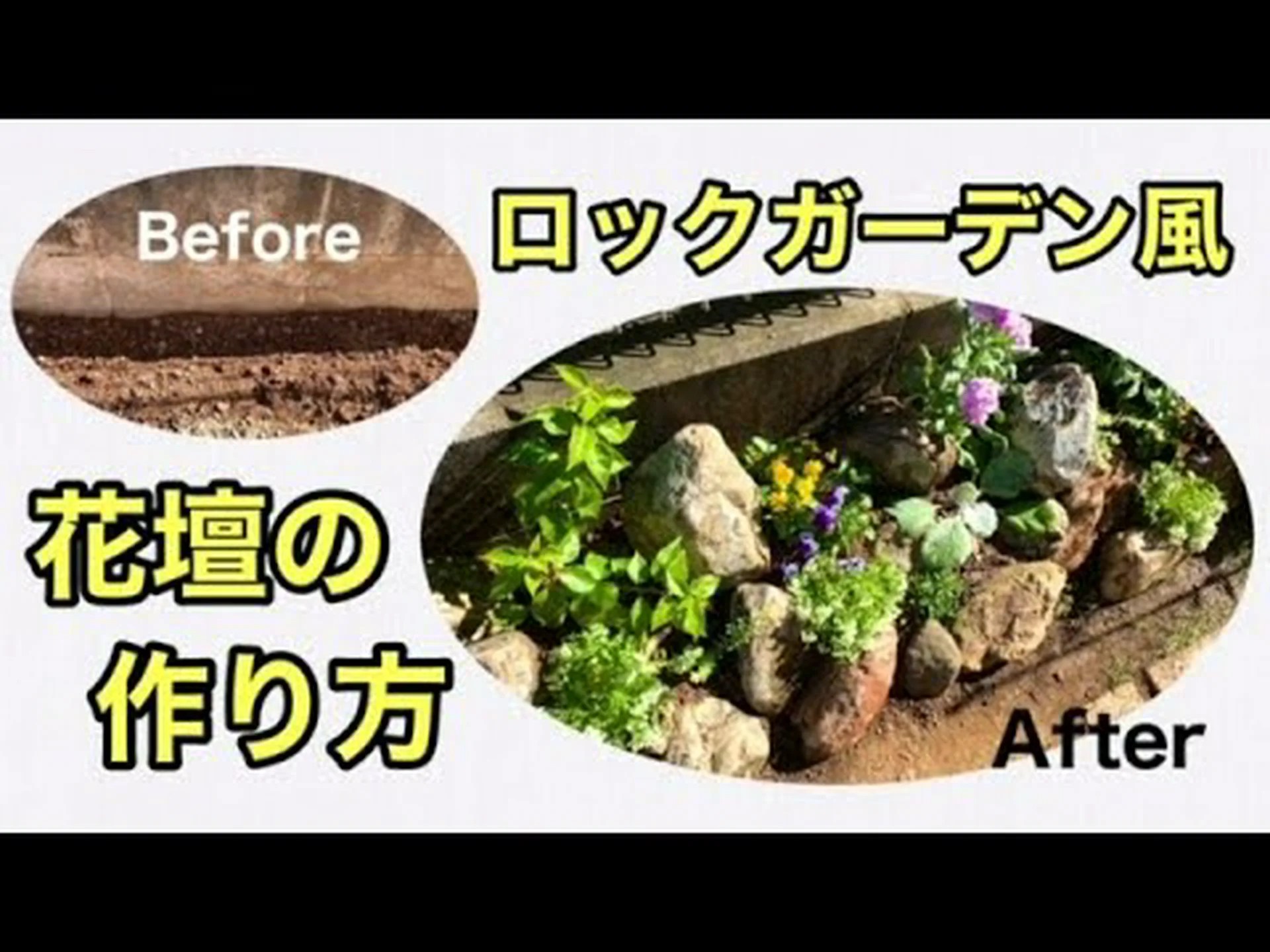 トラフのミニロックガーデン トラフのミニロックガーデン