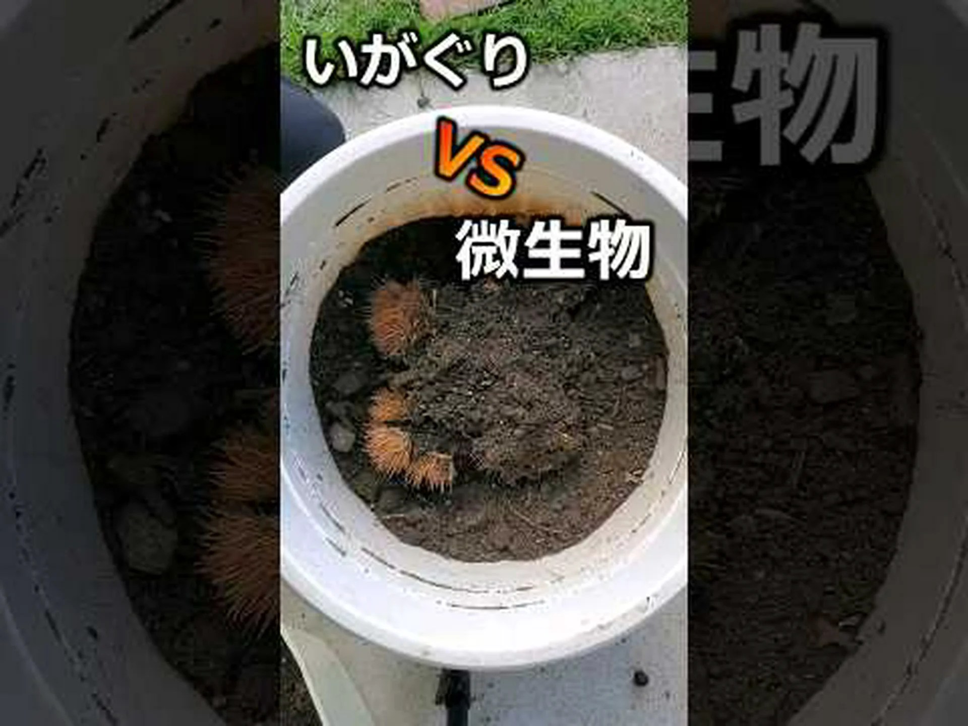 ミネラルマルチ ミネラルマルチ