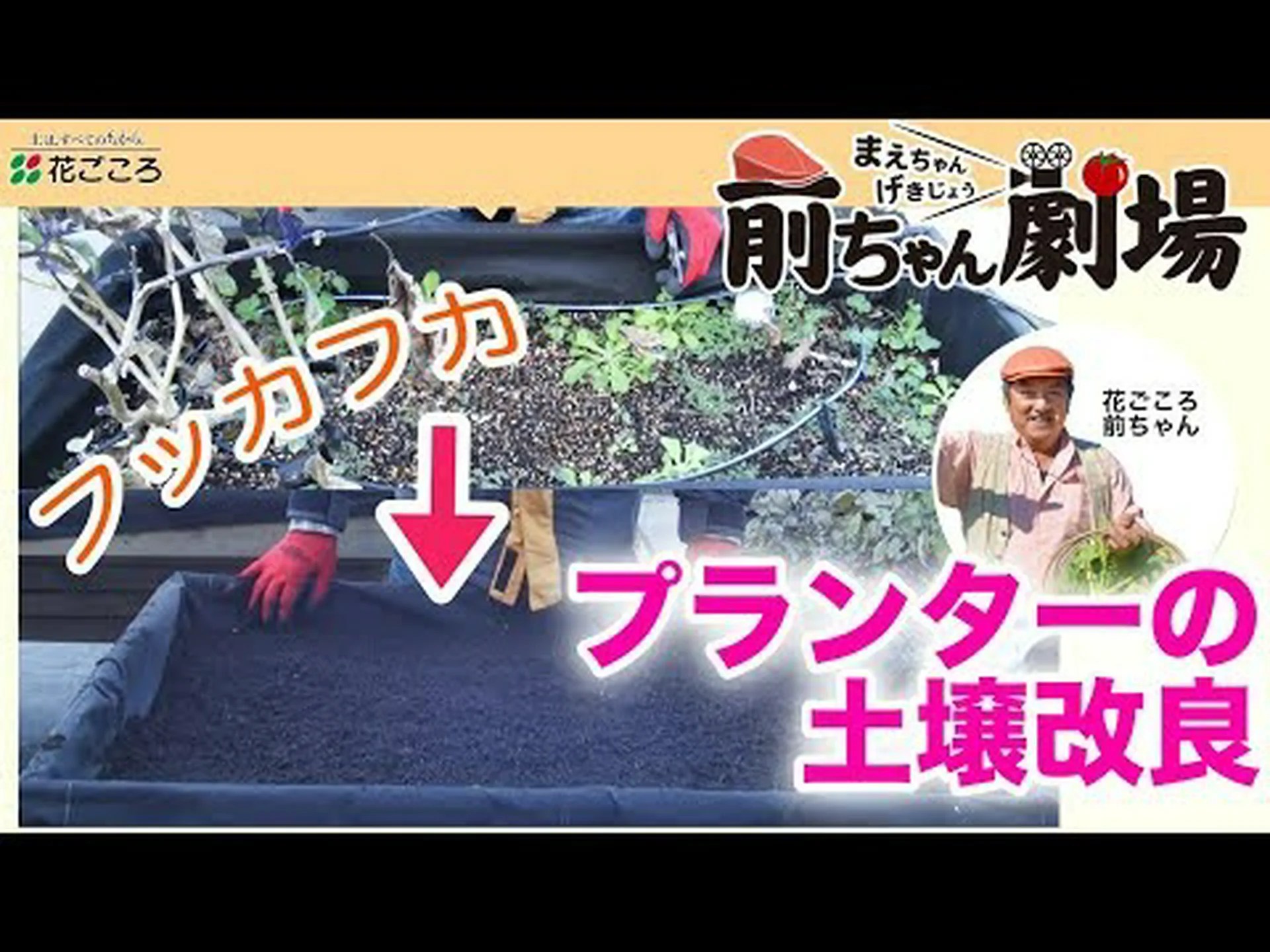 土壌と改良材 土壌と改良材