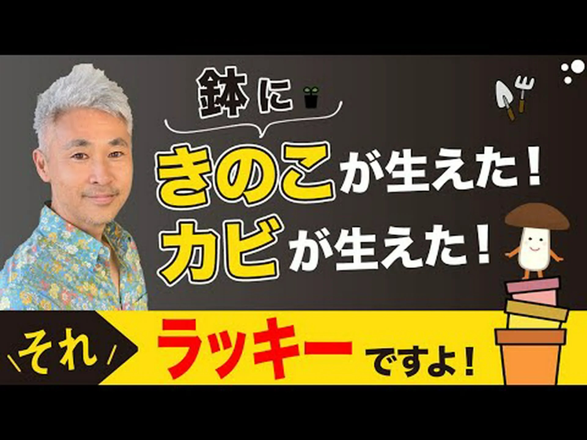 湿地のキノコ 湿地のキノコ