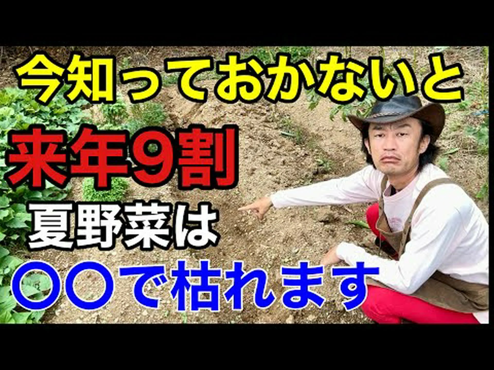 人気の表現における野菜 人気の表現における野菜