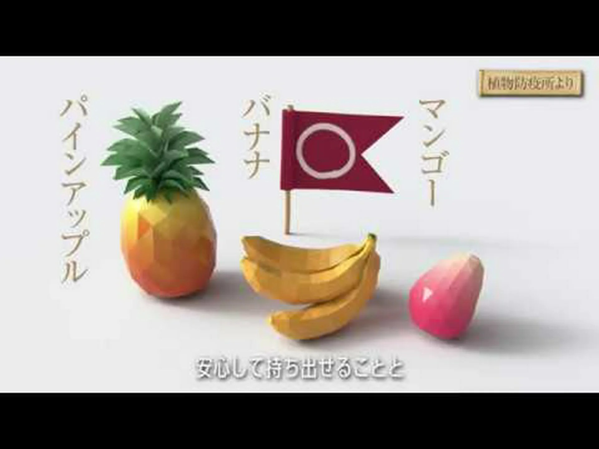 適切な植物検疫の実践 適切な植物検疫の実践