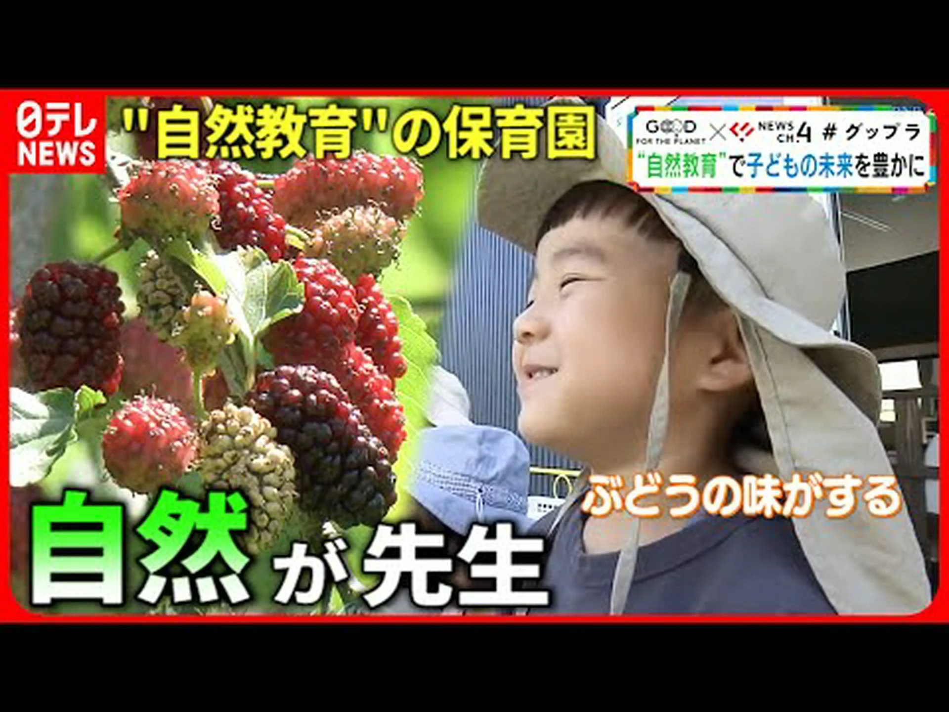 大きな科目に特化した保育園 大きな科目に特化した保育園