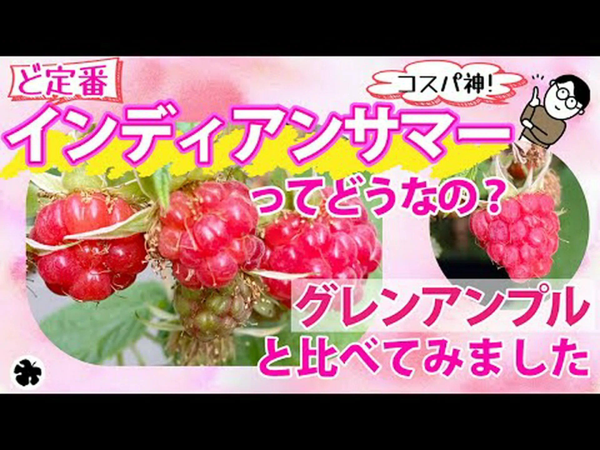 インディアンサマー インディアンサマー