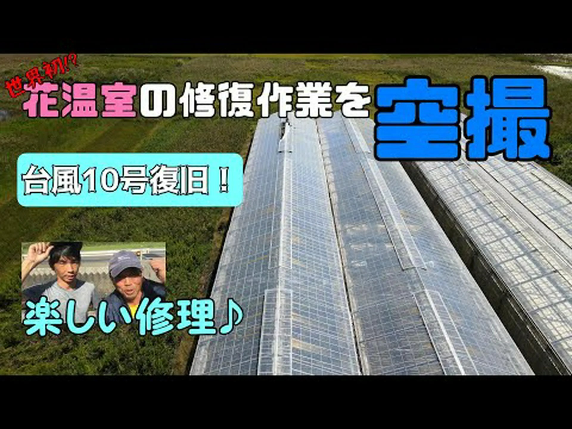 温室のメンテナンス 温室のメンテナンス