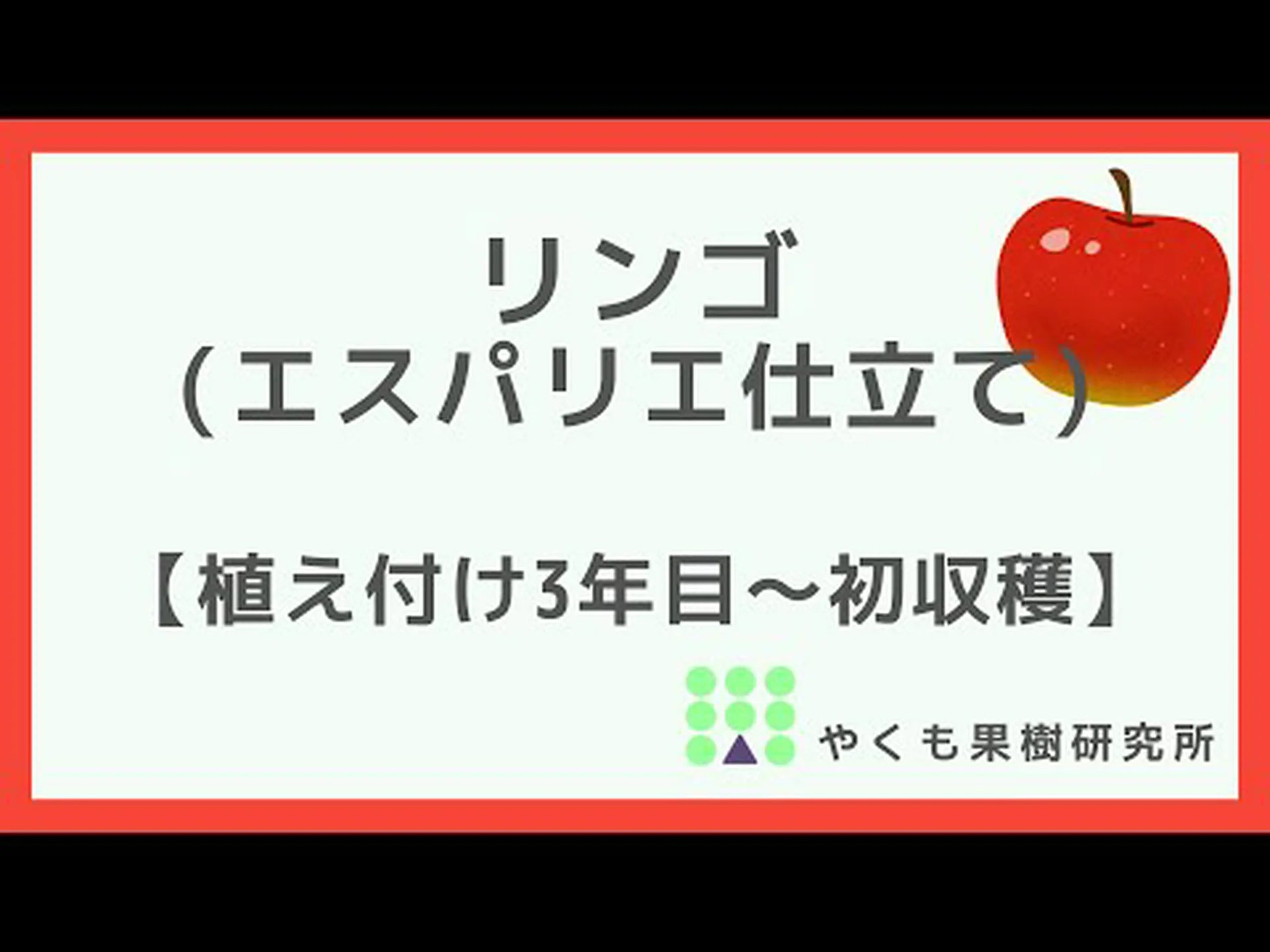 リンゴの木(リンゴ) リンゴの木(リンゴ)