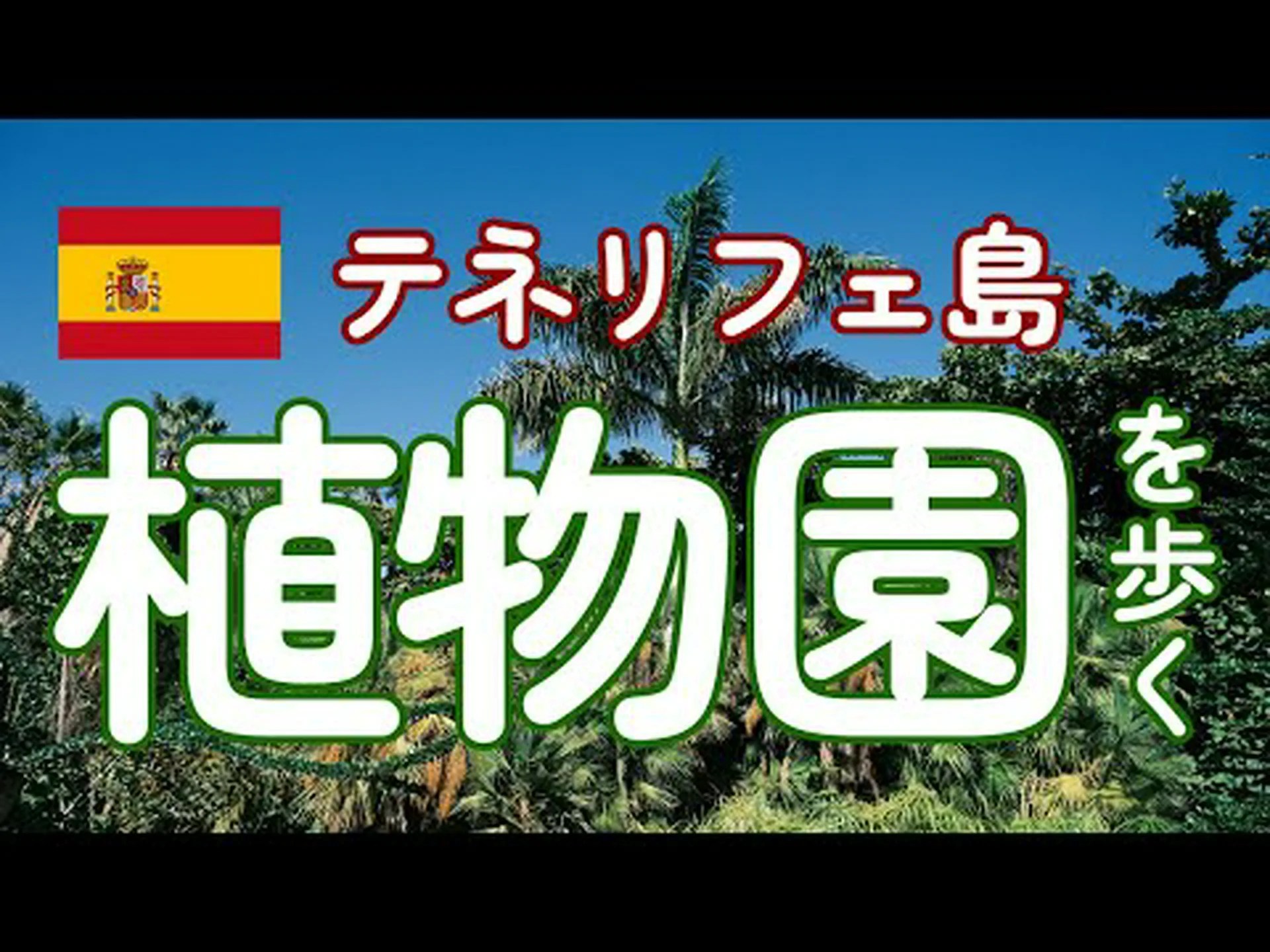 テネリフェ島の植物 テネリフェ島の植物