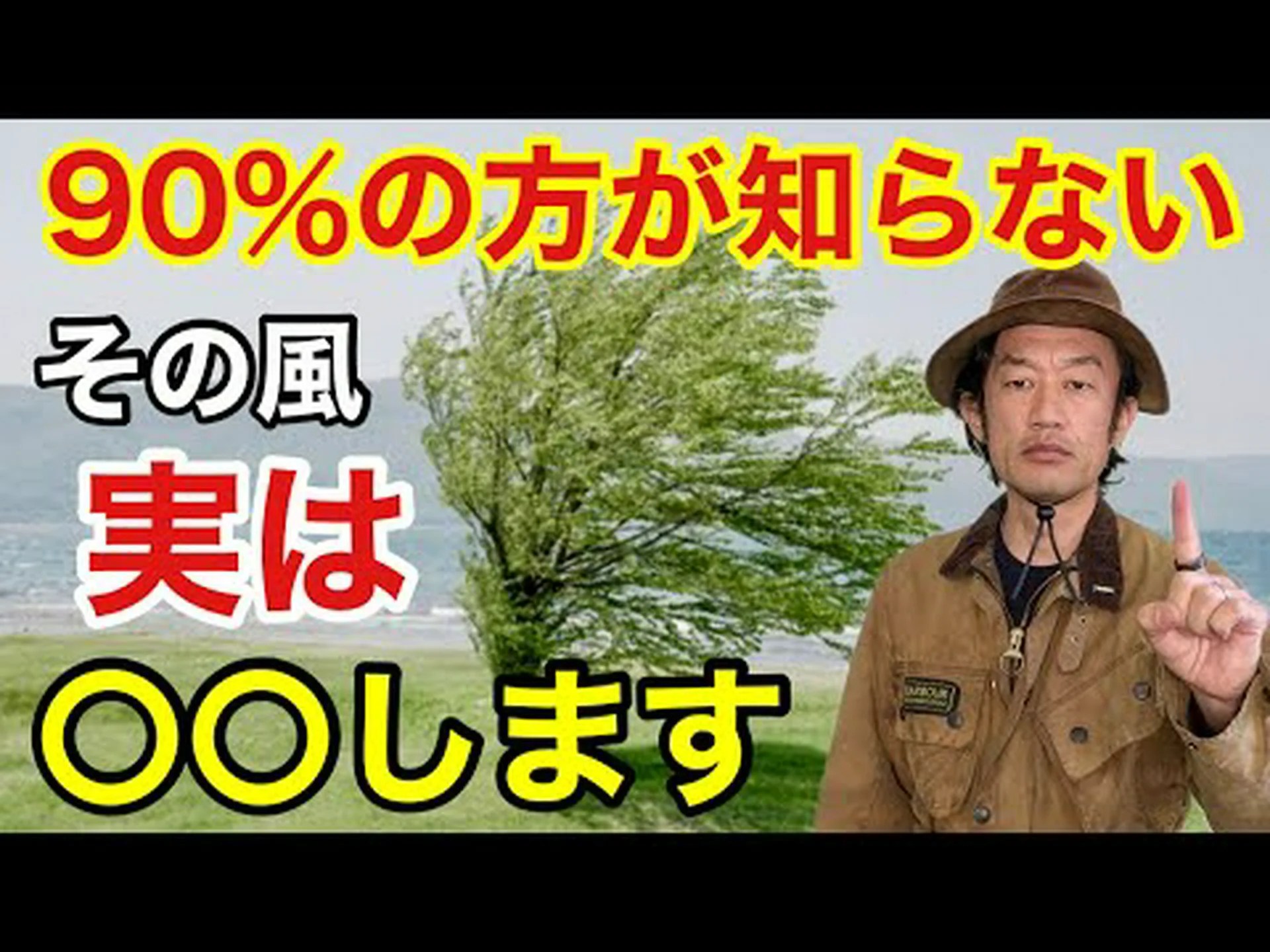 あなたの庭に地中海の植物を あなたの庭に地中海の植物を