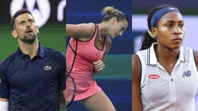 <div>Novak Djokovic Clarifies His Involvement In French Open Protest With Aryna Sabalenka, Coco Gauff & More</div> <div>Novak Djokovic Clarifies His Involvement In French Open Protest With Aryna Sabalenka, Coco Gauff & More</div>