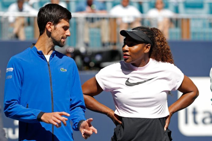 Novak Djokovic speculates on what a Serena Williams tennis comeback will look like Novak Djokovic speculates on what a Serena Williams tennis comeback will look like