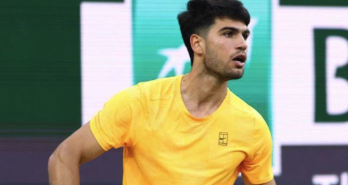 Indian Wells 2026, Alcaraz parte fortissimo: battuto Dimitrov. Djokovic soffre, poi rimonta Majchrzak (Video partite) Indian Wells 2026, Alcaraz parte fortissimo: battuto Dimitrov. Djokovic soffre, poi rimonta Majchrzak (Video partite)