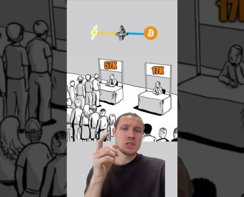Bull Cycle EUPHORIA! #bitcoin | HashPower Academy Bull Cycle EUPHORIA! #bitcoin | HashPower Academy