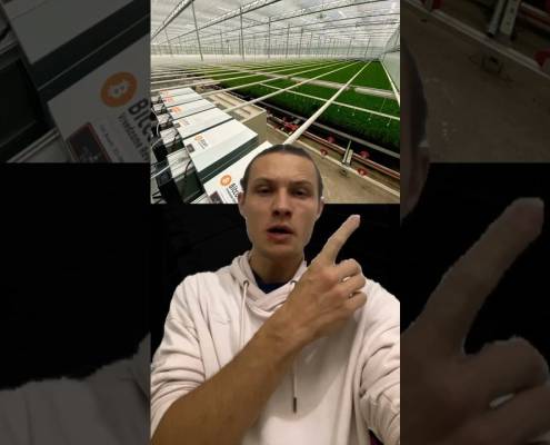 HEAT | Bitcoin Business Case Study | Pt2 #farming #hashing #circulareconomy #btc #mining HEAT | Bitcoin Business Case Study | Pt2 #farming #hashing #circulareconomy #btc #mining