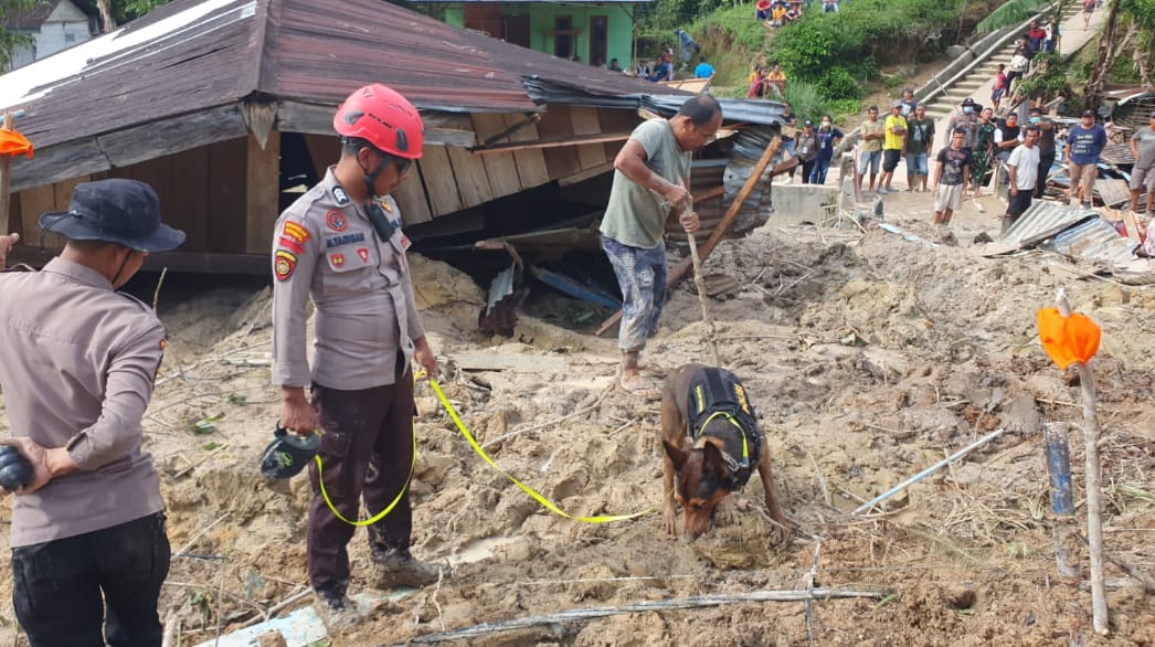 K-9 Polri Dikerahkan Bantu Pencarian Korban di Tapteng K-9 Polri Dikerahkan Bantu Pencarian Korban di Tapteng