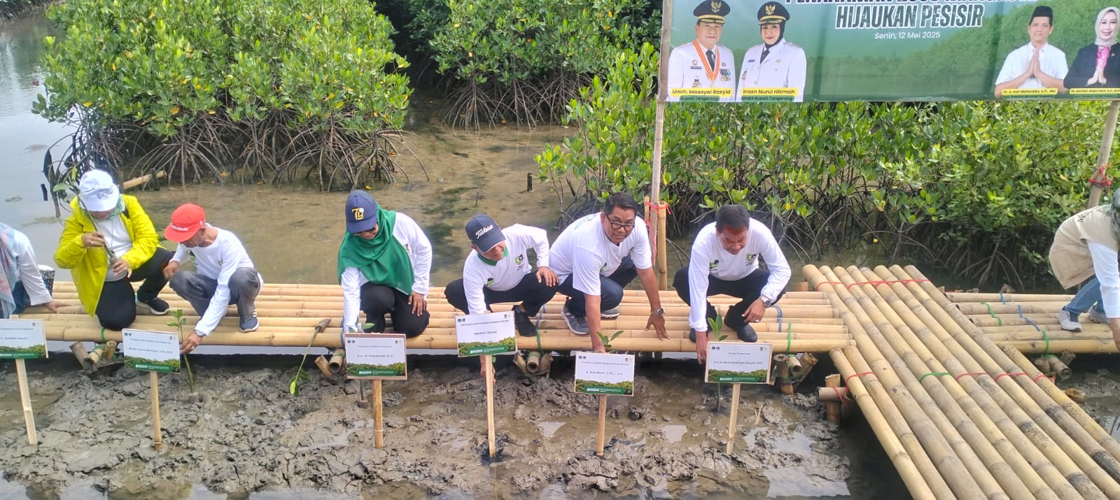 FORHATI dan MD KAHMI Menggelar Aksi Penanaman 2.000 Pohon Mangrove di Ketapang Urban Aquaculture FORHATI dan MD KAHMI Menggelar Aksi Penanaman 2.000 Pohon Mangrove di Ketapang Urban Aquaculture