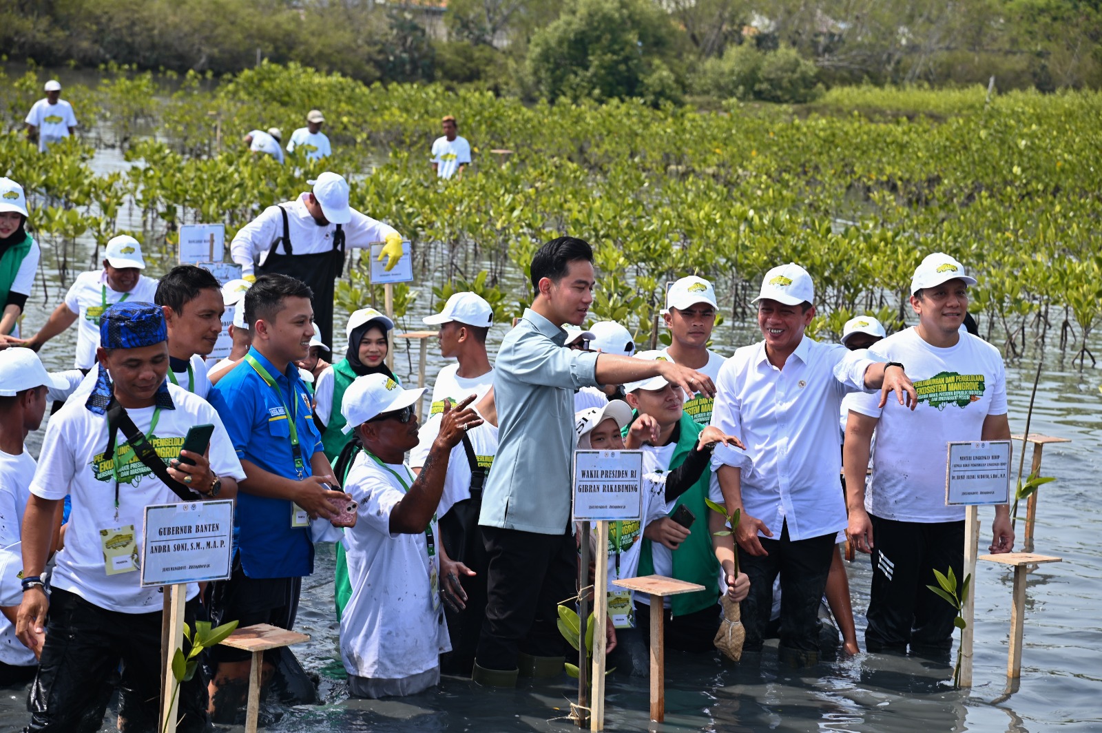 PLN Indonesia Power UBP Banten 3 Lontar Bersama Wakil Presiden RI Tanam Mangrove PLN Indonesia Power UBP Banten 3 Lontar Bersama Wakil Presiden RI Tanam Mangrove