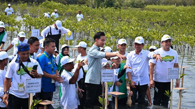 PLN Indonesia Power UBP Banten 3 Lontar Bersama Wakil Presiden RI Tanam Mangrove PLN Indonesia Power UBP Banten 3 Lontar Bersama Wakil Presiden RI Tanam Mangrove