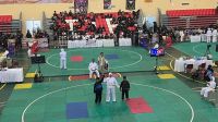 Pencak Silat Pencak Silat