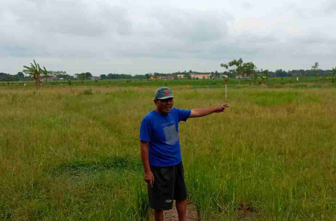 irigasi primer atau sekunder irigasi primer atau sekunder