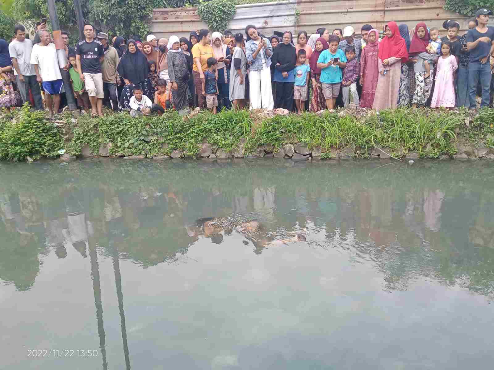 mayat wanita mayat wanita