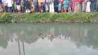 mayat wanita mayat wanita