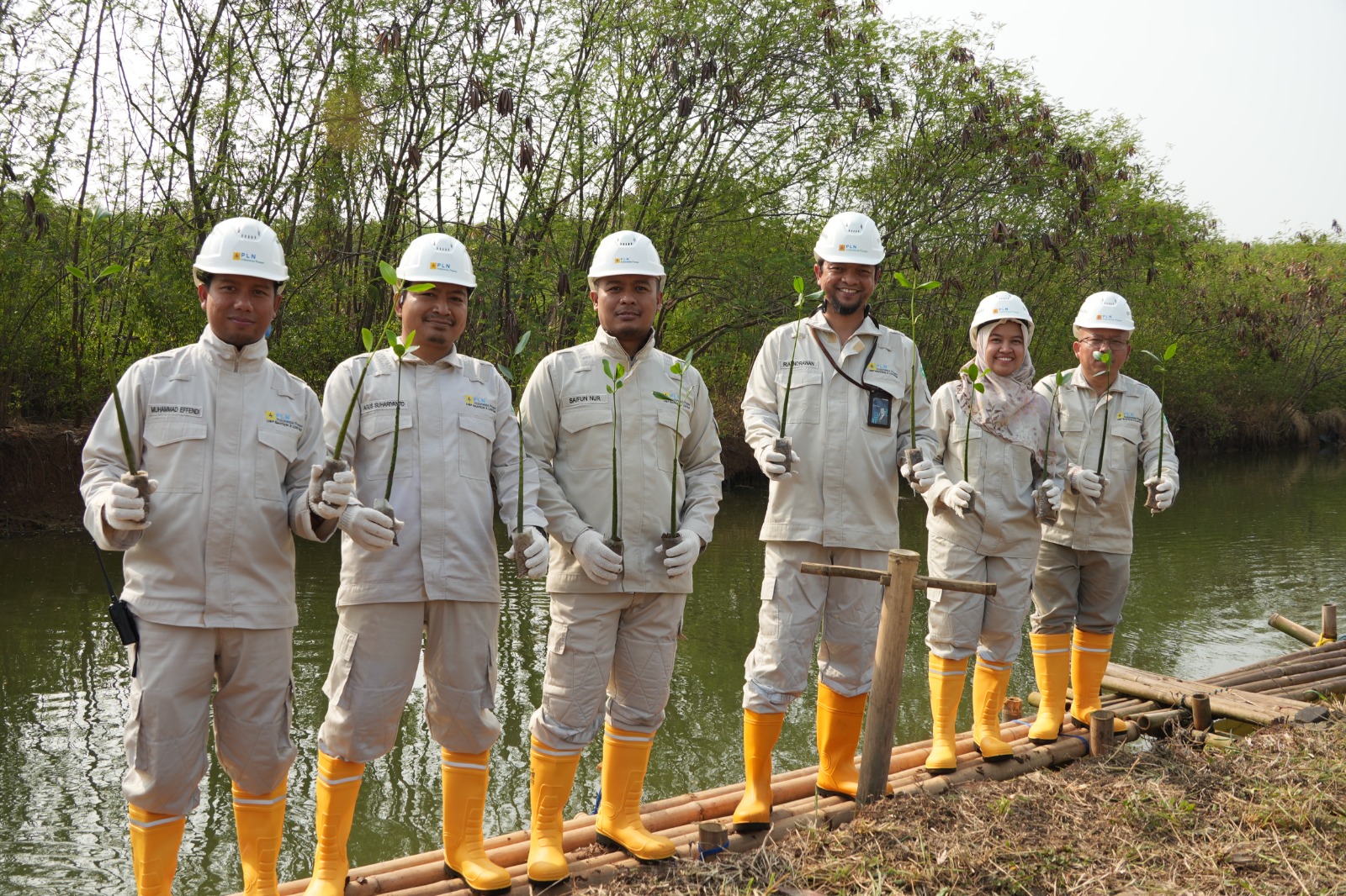 PLN Indonesia Power Tanam 5.000 Pohon Mangrove PLN Indonesia Power Tanam 5.000 Pohon Mangrove